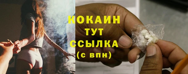 ГАЛЛЮЦИНОГЕННЫЕ ГРИБЫ Михайлов
