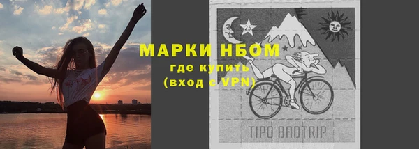 ГАЛЛЮЦИНОГЕННЫЕ ГРИБЫ Михайлов