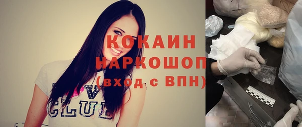 ГАЛЛЮЦИНОГЕННЫЕ ГРИБЫ Михайлов