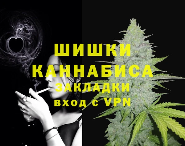 ГАЛЛЮЦИНОГЕННЫЕ ГРИБЫ Михайлов