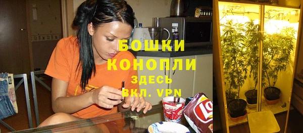 амф Михайловка