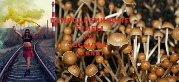 амф Михайловка