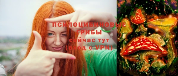 ГАЛЛЮЦИНОГЕННЫЕ ГРИБЫ Михайлов