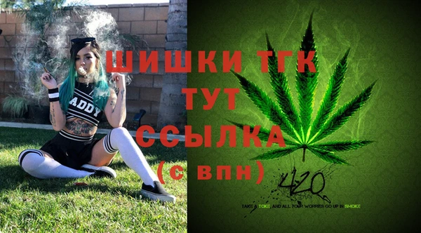 амф Михайловка