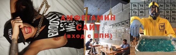 ГАЛЛЮЦИНОГЕННЫЕ ГРИБЫ Михайлов