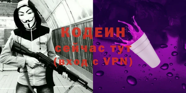 ГАЛЛЮЦИНОГЕННЫЕ ГРИБЫ Михайлов