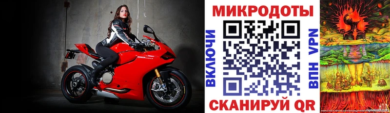 Псилоцибиновые грибы мицелий закладки Нахабино